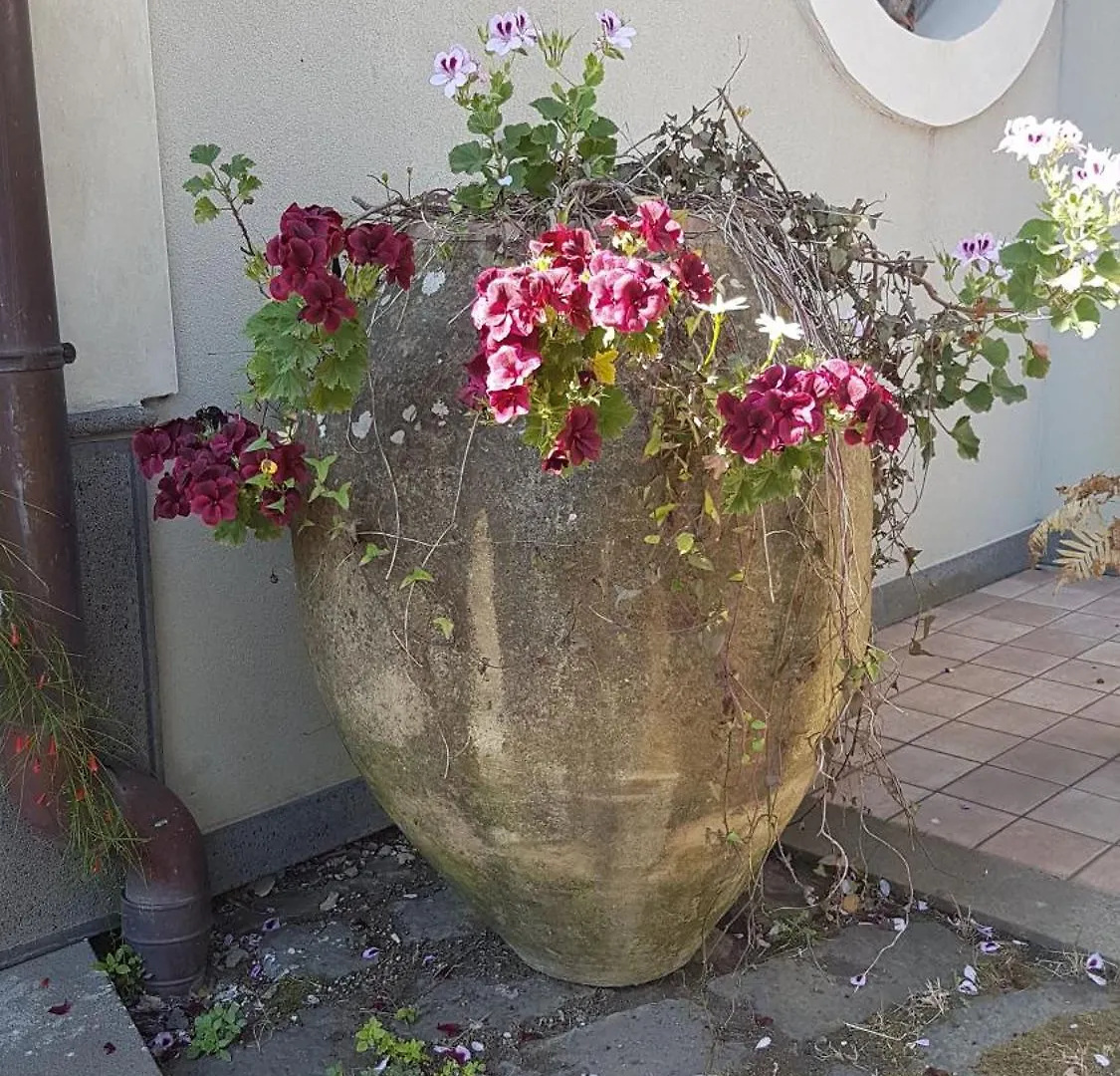 Bed & Breakfast Bed and Breakfast Casa Delle Coccole Trecastagni
