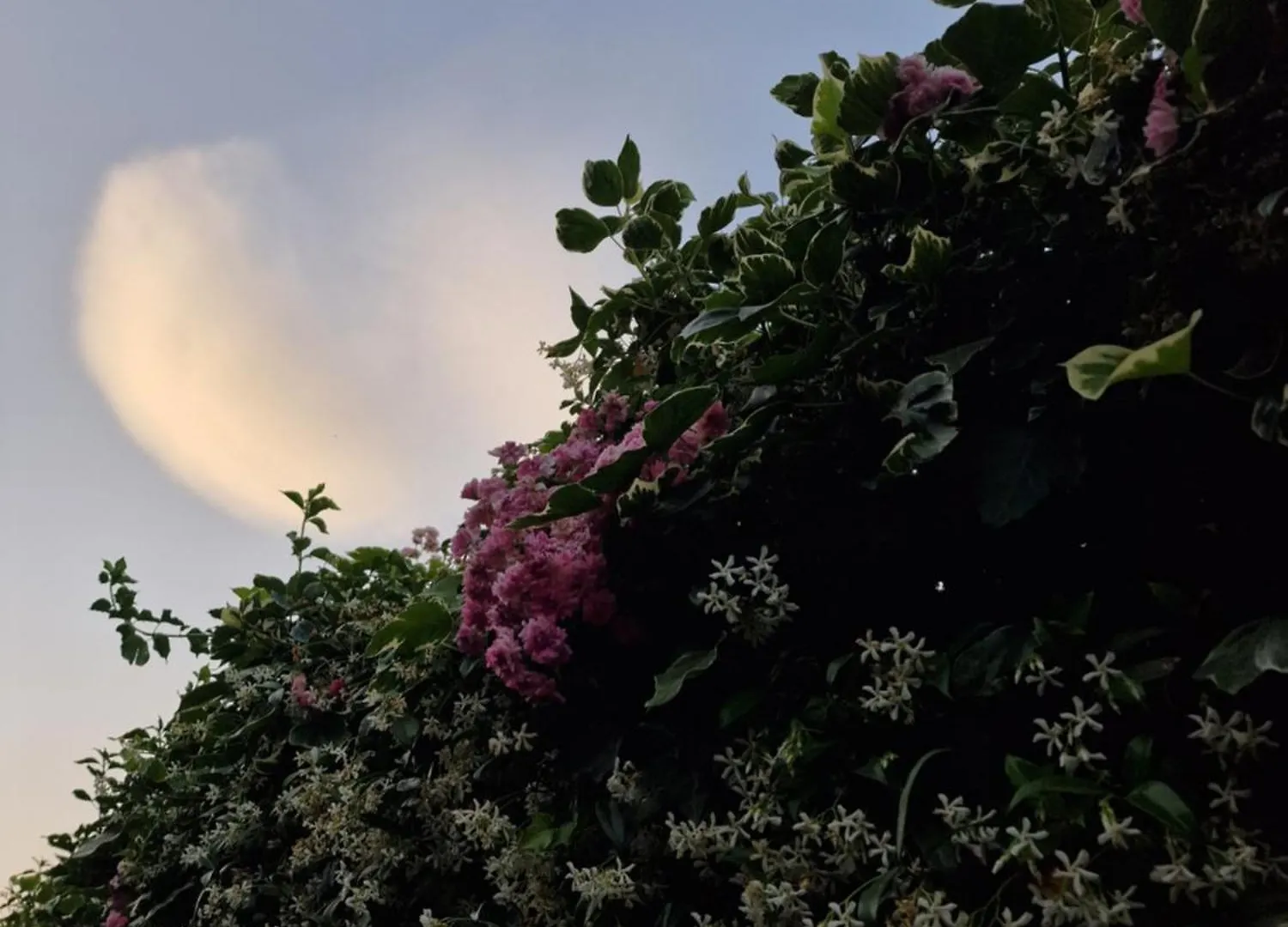 Bed and Breakfast Casa Delle Coccole Trecastagni Bed & Breakfast