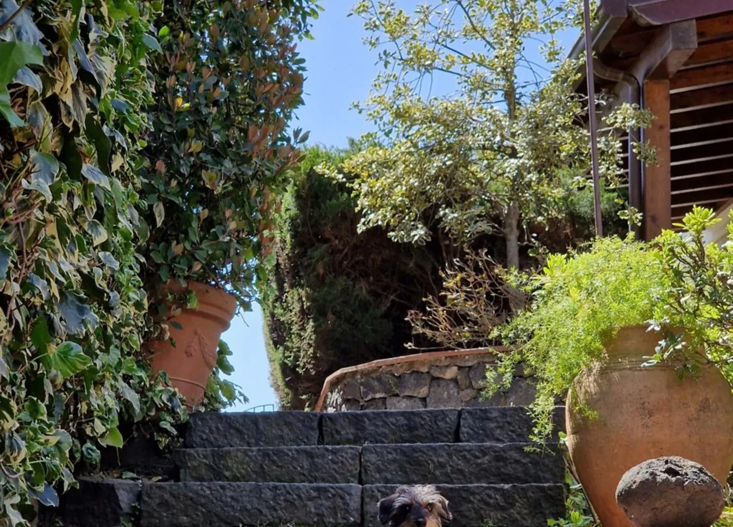 Bed and Breakfast Casa Delle Coccole Trecastagni Italia