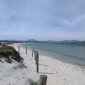 Alta Marea Murta Maria